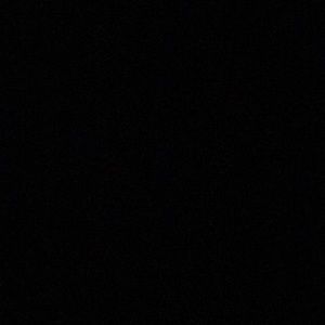 Meet your Posher, Donia